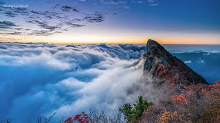 Dark Meditation: Low Frequencies Meditation Music for Relaxation, Relaxing Music, Soothing Music