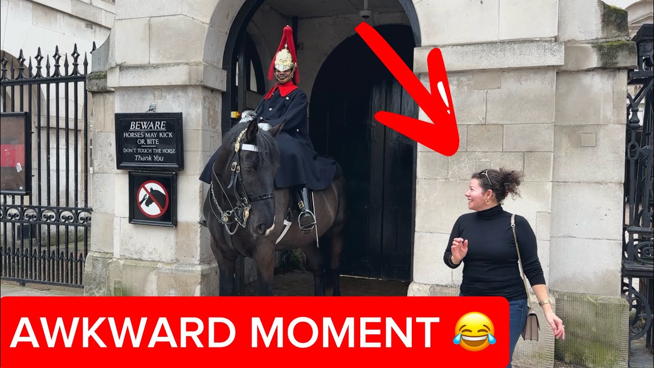 Awkward Moment! Guard Warns Tourist Not to Touch the Horse