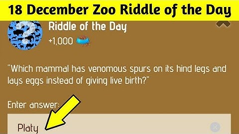 Riddle of the Day Zoo 18 December | Zoo Riddle of the Day | Riddle of the Day X Empire