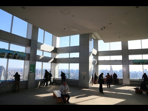 東京都庁の展望室