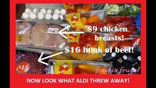 LOOK WHAT ALDI HAS THROWN AWAY NOW!  DUMPSTER DIVING FOR PLEASURE AND PROFIT!  EXTREME FRUGALITY!