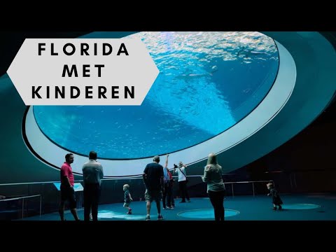 Video: Top kleutervriendelike Florida-strandoorde