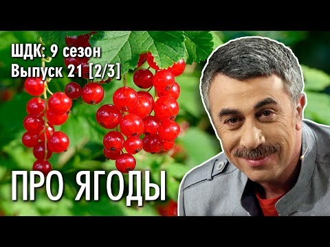 Про ягоды Доктор Комаровский