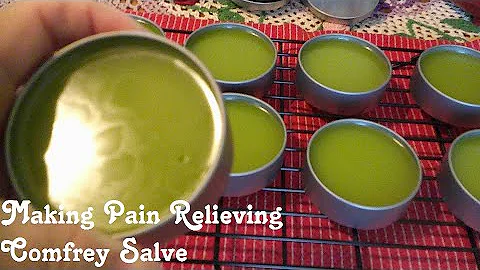 Making Comfrey Salve for Pain Relief 🌱 Easy and Beneficial