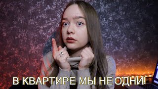 :      !     ! !
