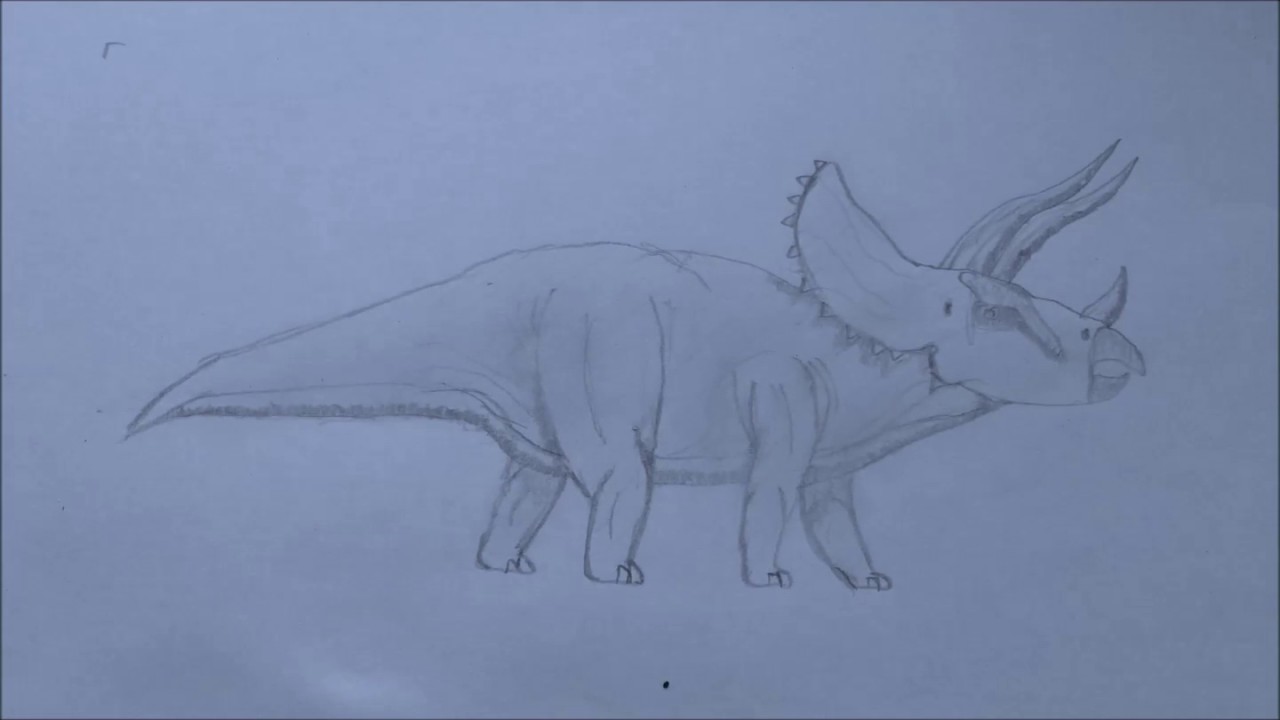 Unique Triceratops Sketch Drawing 