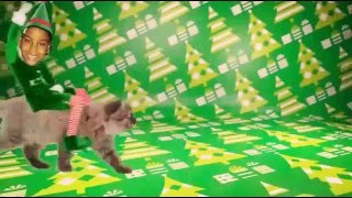 Elf yourself original
