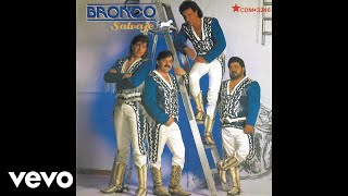 Video thumbnail of "Bronco - TE QUISE UNA VEZ (Cover Audio)"