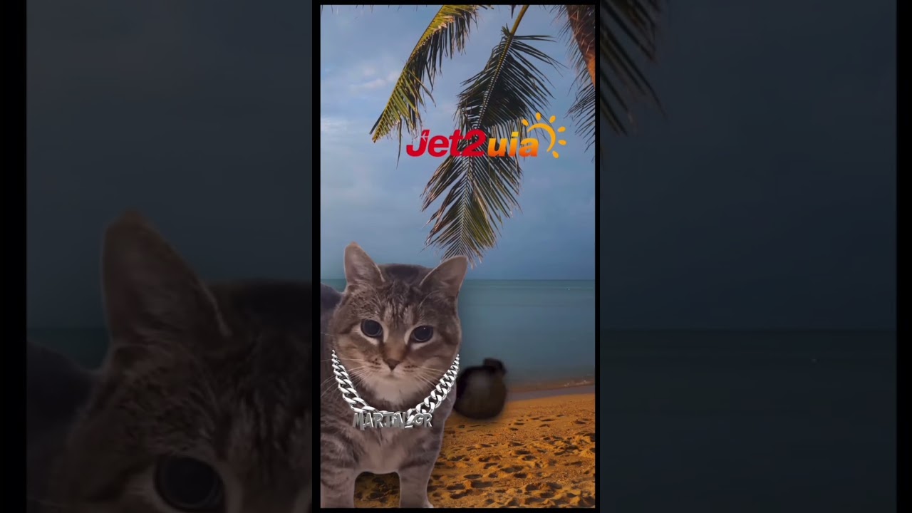 Nothing beats a jet 2 uia  / 