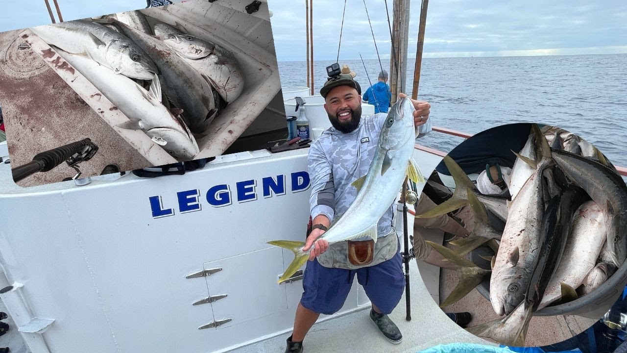 ONCE in a Lifetime YELLOWTAIL BITE 