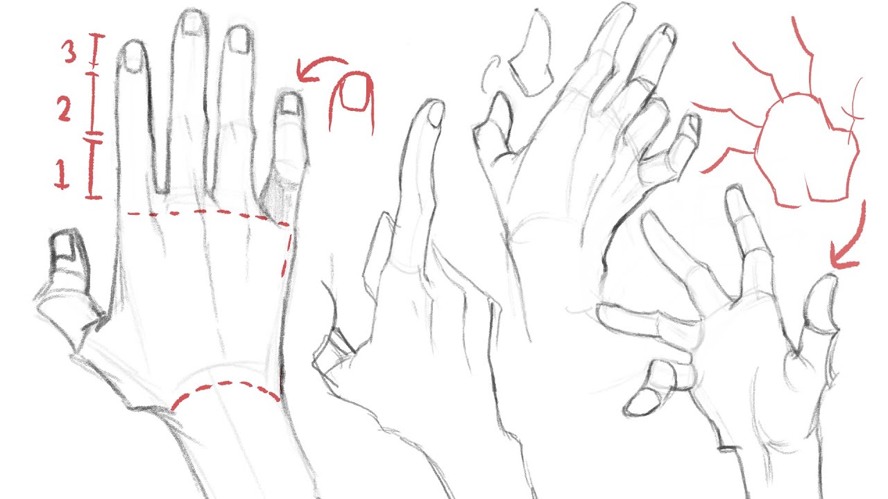 🔴 Como Dibujar Manos!? • Tutorial Completo