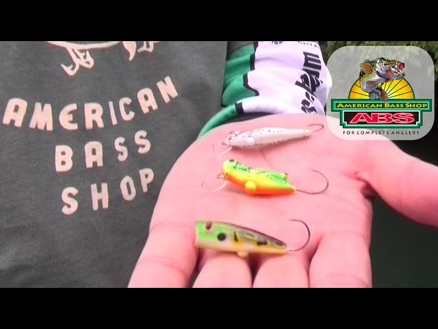 Absバス釣り動画 子供や女性にお勧めの数釣りルアー マイクロクリッター Rebel Micro Critters Youtube Absバス釣り動画 子供や女性にお勧めの数釣りルアー マイクロクリッター Rebel Micro Critters Youtube