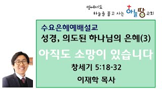 하늘땅교회 수요은혜예배 이재학 목사 성경, 의도된 하나님의 은혜(3) 아직도 소망이 있습니다