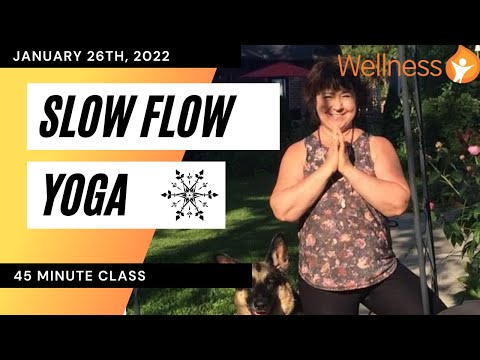  Update  Slow Flow Yoga with Norma - January 26th, 2022
