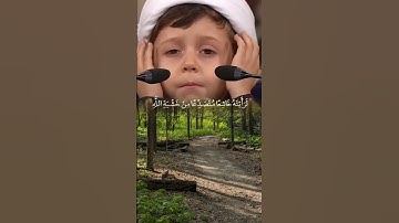 #قرآن #قران_كريم #المصحف #تلاوة_خاشعة #اكسبلور #foryou #fypシ #shortvideo #fypyoutube