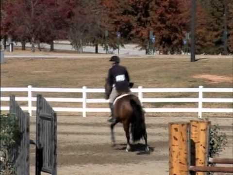 NORWAY DE LA FOSSE- USHJA Nat'l Hunter Classic/Derby WINNER