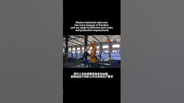 Chinese factory robot arm  #industrialrobotics #robot #factory #machine