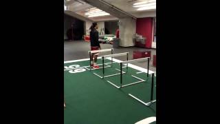 Lateral Hurdle Jumps w/Pause