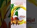 Happy Makar Sankrantistatus video free download || makar Sankranti 2026 status video