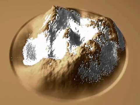 Occlusion-Based Snow Accumulation Simulation