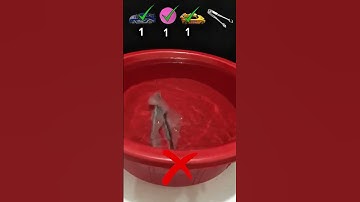 Try To Guess How Many Can Float It #ytshorts #satisfying #water #floating #shortvideo #viralvideo