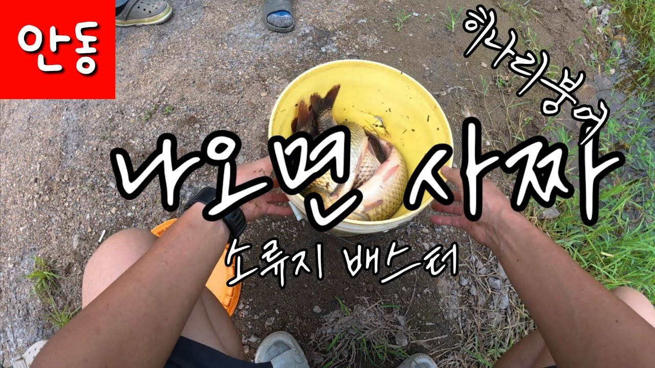 낮에 걸면사짜 핫했던 안동의 배스터 이 시기에 4짜 마릿수 가능한 곳 제가 도전해 밨습니다