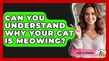 Can You Understand Why Your Cat Is Meowing? - Happy Cat Handbook