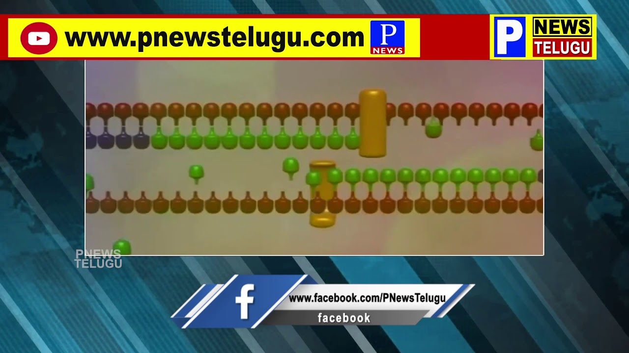 మ‌ళ్లీ పుంజుకుంటున్న క‌రోనా | Again Covid Cases Increasing in India | P News Live