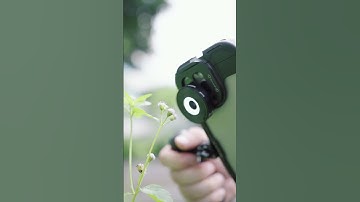 The incredible LS-32 45X phone microscope allows you to explore the world in miniature!