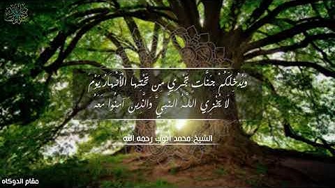 سورة التحريم للشيخ محمد أيوب مقام البيات الحجازي ( دوكاه )