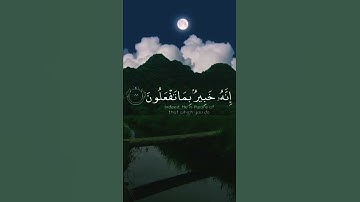 |صُنْعَ اللهِ الَّذِي أَتْقَنَ كُلَّ شَيْءٍ إِنَّهُ خَبِيرٌ بِمَا تَفْعَلُونَ | سورة : النمل |