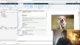 How to download a file off of blackboard (Matlab online)