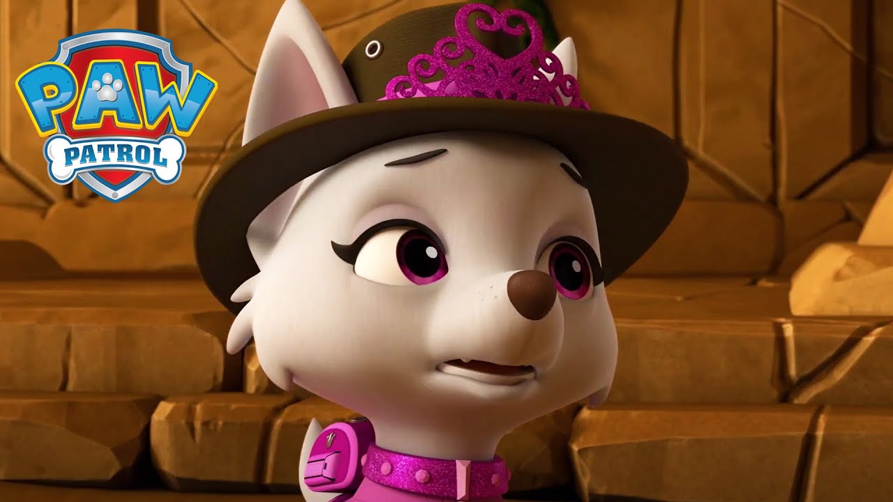 Pot Atingerea de Aur! - PAW Patrol - Desene animate pentru copii