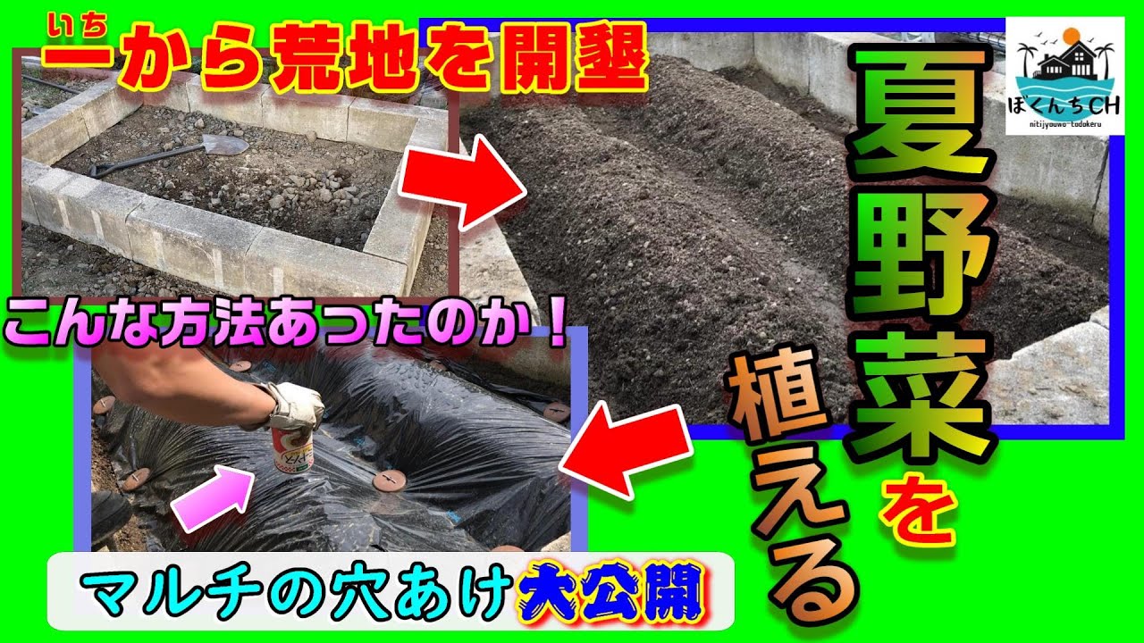 ぼくch 荒地を開墾して夏野菜を植える前編 一工夫 空き缶使用でマルチの穴あけが超きれいに 日常 お父さん マルチカッター不要 家庭菜園 畑 庭 接木苗 夏野菜 きゅうり なすび ふるい Youtube
