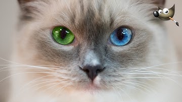 How To Colour Eyes In Gimp | Gimp LCH Colour Mode