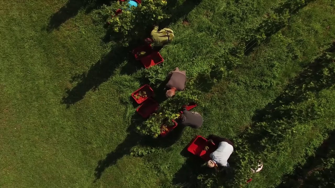 Weingut Erich & Walter Polz – in der Schweiz bei bei Baur au Lac Vins