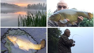 Tench fishing in the fog