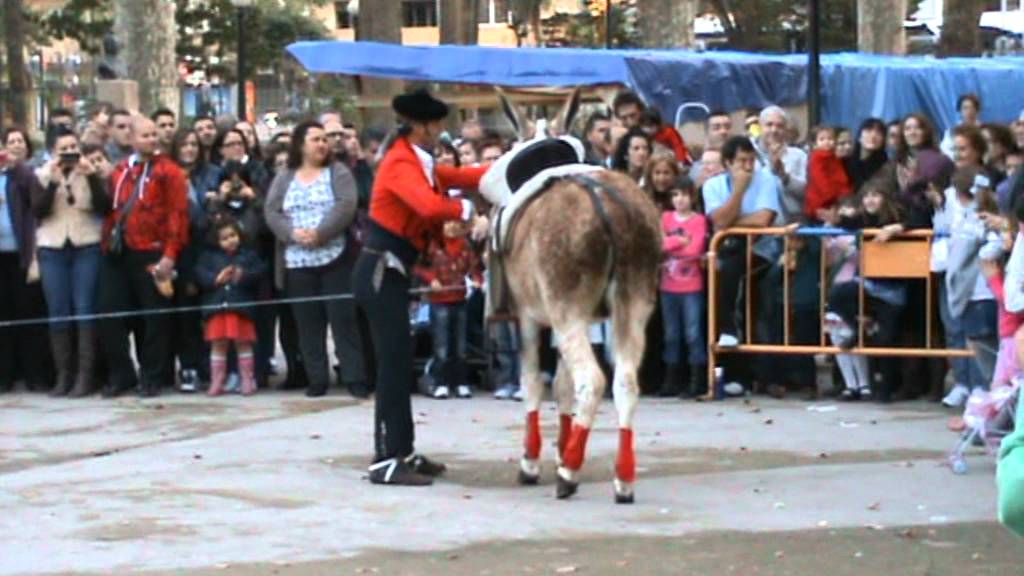 El burrito Caramelo en el parque Maria Cristina en Algeciras