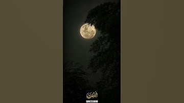 ماتيسر من سورة ابراهيم بصوت القارئ شهاب الخطيب #اكسبلور #شهاب_الخطيب #قران