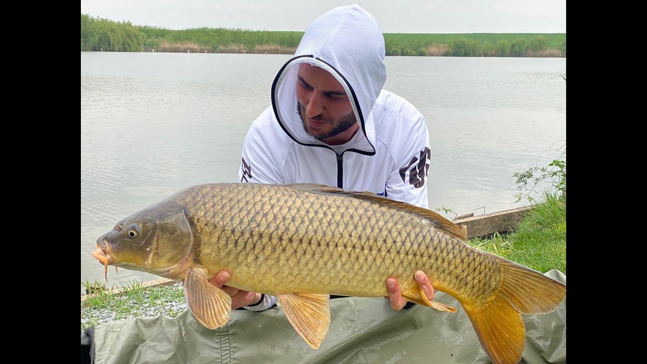 Pescuit la feeder #19 pe balta Hagiesti 