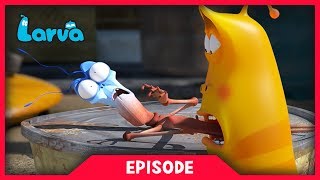LARVA - STICK INSECT | Cartoon Movie | Cartoons For Children | Larva Cartoon | LARVA Official
