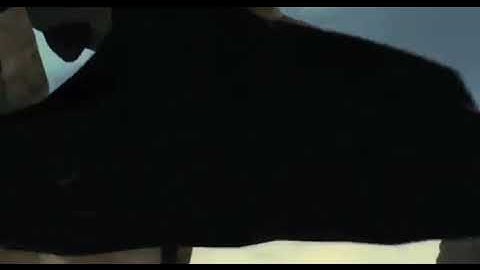 Timon and Pumbaa Interrupt 7: Ice Age 2