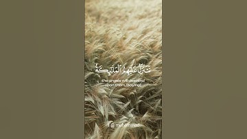 القران الكريم - سورة فصلت - القارئ احمد النفيس