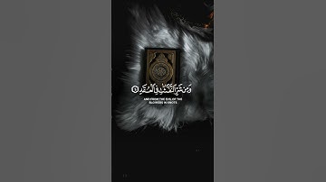 سورة الفلق القارء عبد الرحمن مسعد