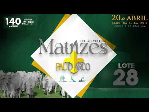 LOTE 28