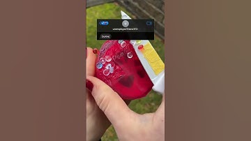 @huzzaiapp You Won’t Believe These Texts Actually Happened 😅😂💯