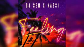 Dj SEM x NASSI - Feeling Resimi