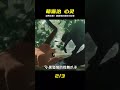 一部很治愈的貓貓影片,這才是猛男應該看的電影 #動畫電影 #电影 #电影解说 #影视 #影视解说 #剧情
