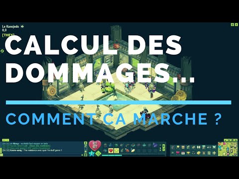 DOFUS : CALCUL DES DOMMAGES - Comment optimiser son stuff.