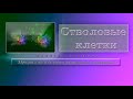 Стволовые клетки (жен.). Программа для подсознательных сообщений. (Сытин)